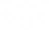 lotus_white_small lotus_white_small