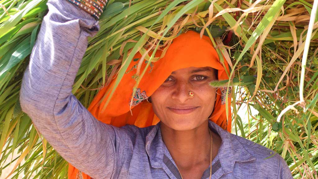 rajasthan_woman03